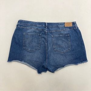 Levi’s Signature High Rise Jean Shorts Womens Size 20 W35
